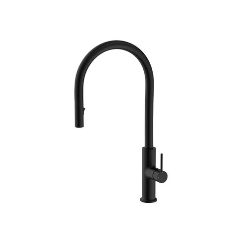 Fienza Kaya Pullout Sink Mixer